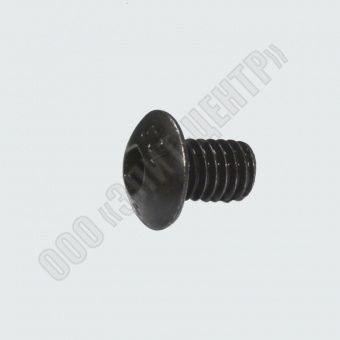 SS04008 Винт подкладной пластины